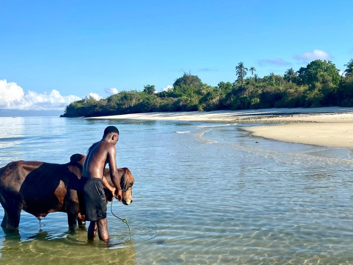 Kingstone Lodge Zanzibar Bet-el-Mali Экстерьер фото